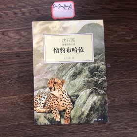 情豹布哈依：沈石溪激情动物小说