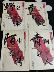 都市粉红系列 当代官场言情小说: 青铜恋人 陌生爱情 童话男人 野蛮与温柔