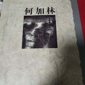 走近画家.何加林