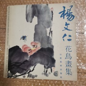 杨文仁花鸟画集