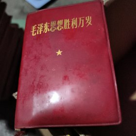 毛泽东思想胜利万岁
