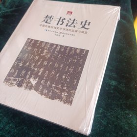 荆楚文库·楚书法史：中国先秦区域文字书体的发展与演变