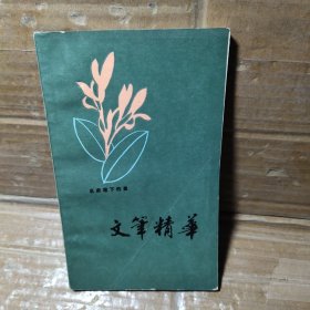 文笔精华