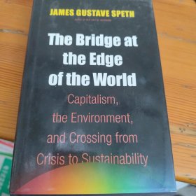 The Bridge at the Edge of the World: Capitalism, the Environment, and Crossing from Crisis to Sustainability