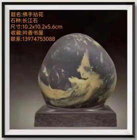 长江奇石之《佛手拈花》，带座