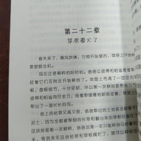 常春藤国际小说系列纽伯瑞儿童书籍故事书 草原上的木屋