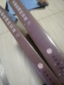 1988-1999年考古发掘报告-景德镇湖田窑址(全二册)全新未拆封 实物如图