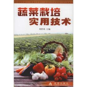 蔬菜栽培实用技术 种植业 刘世琦主编 新华正版