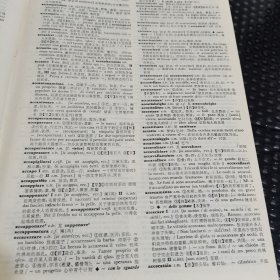 意汉词典