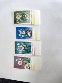 T147邮票 水仙花