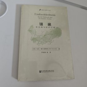 镶嵌：社会网与经济行动（增订版）