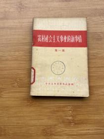 农村社会主义事业的新事情  第一集