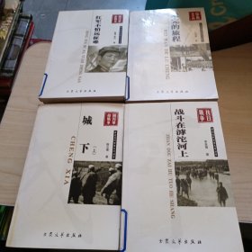 中国现代军事文学丛书·国内革命战争：南天一柱共30册