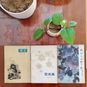 螺号（张永枚）雪兆集（周良沛）布谷鸟与紫丁香（邹荻帆）（书架w）