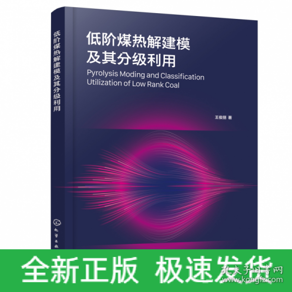 低阶煤热解建模及其分级利用