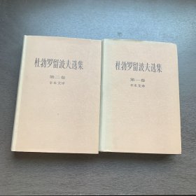 杜勃罗留波夫选集（第一卷、第二卷 83年一版一印）布面精装本