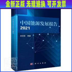 中国能源发展报告2021