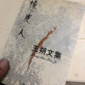 王朔文集：橡皮人