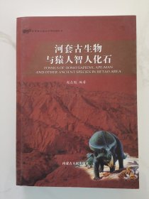 河套古生物与猿人智人化石