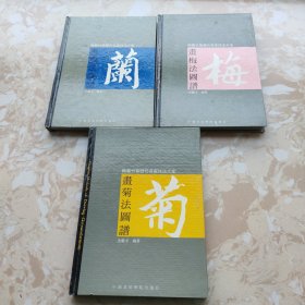 梅兰竹菊历代名家技法大全：《画兰法图谱》、《画菊法图谱》、《画梅法图谱》（三册合售）