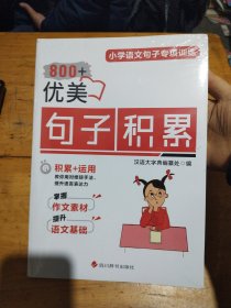 小学语文句子专项训练：优美句子积累+语文修辞手法（两本）（未拆封）