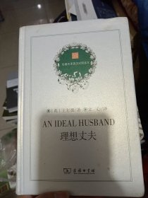理想丈夫