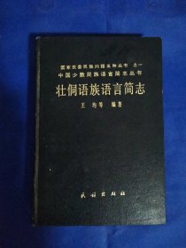 壮侗语族语言简志