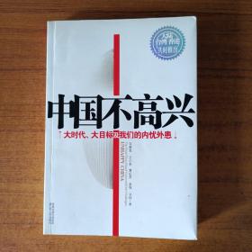 中国不高兴：大时代大目标及我们的内忧外患