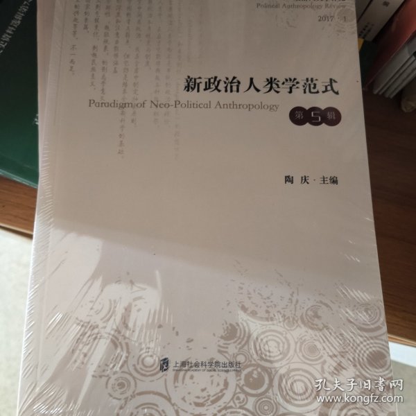 新政治人类学范式（第五辑）