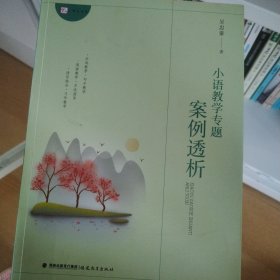 小语教学专题案例透析