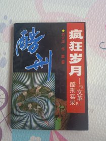 疯狂岁月：酷行实录