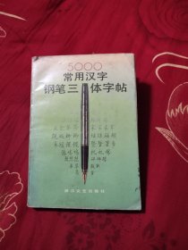 5000常用汉字钢笔三体字帖，16.87元包邮，