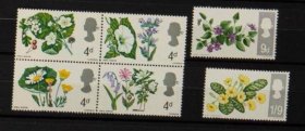 英国1967年植物花卉山楂牵牛花雏菊紫罗兰6全