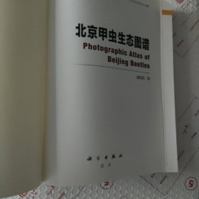 北京甲虫生态图鉴（无封面）