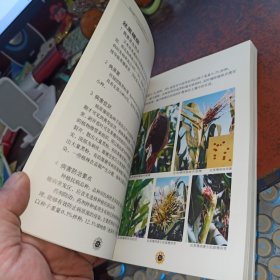 玉米病虫害田间手册:病虫害鉴别与抗性鉴定（作者签赠本）