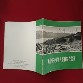 陕西省农业学大寨摄影作品选