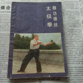 武术书系列：敬功缠丝太极拳