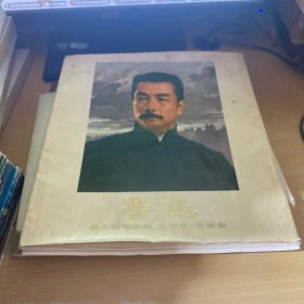 鲁迅—伟大的革命家、思想家、文学家（活页存13张）