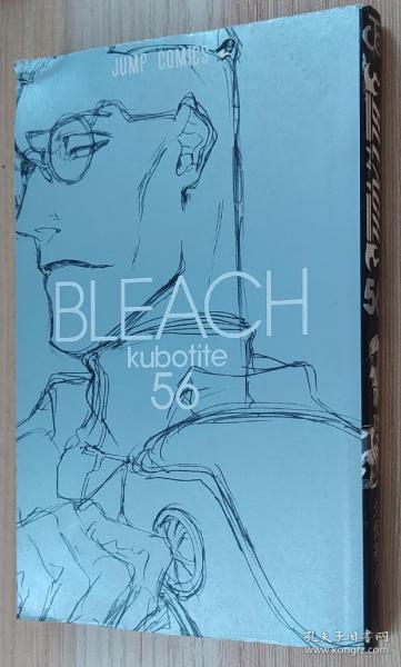 BLEACH―ブリーチ― 56