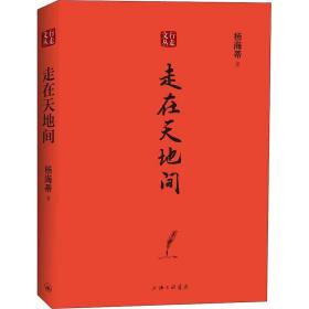 走在天地间 散文 杨海蒂 新华正版