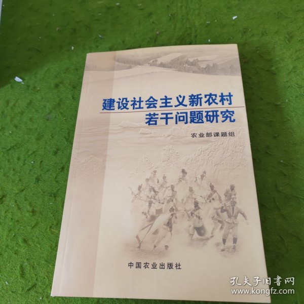 建设社会主义新农村若干问题研究