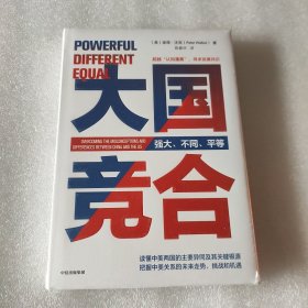 大国竞合：把握中美关系的未来走势、挑战和机遇