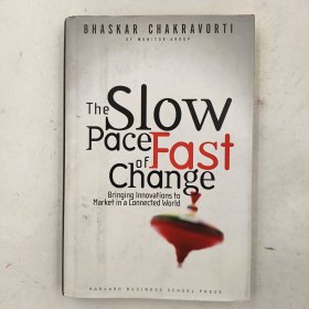 The Slow Pace of Fast Change: Bringing Innovations to Market in a Connected World