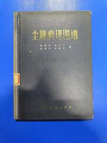 尘肺病理图谱 B150163