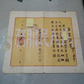 河北省卢龙县初中毕业证（1955年）