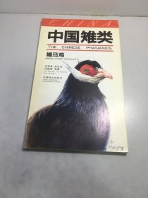 中国雉类 褐马鸡