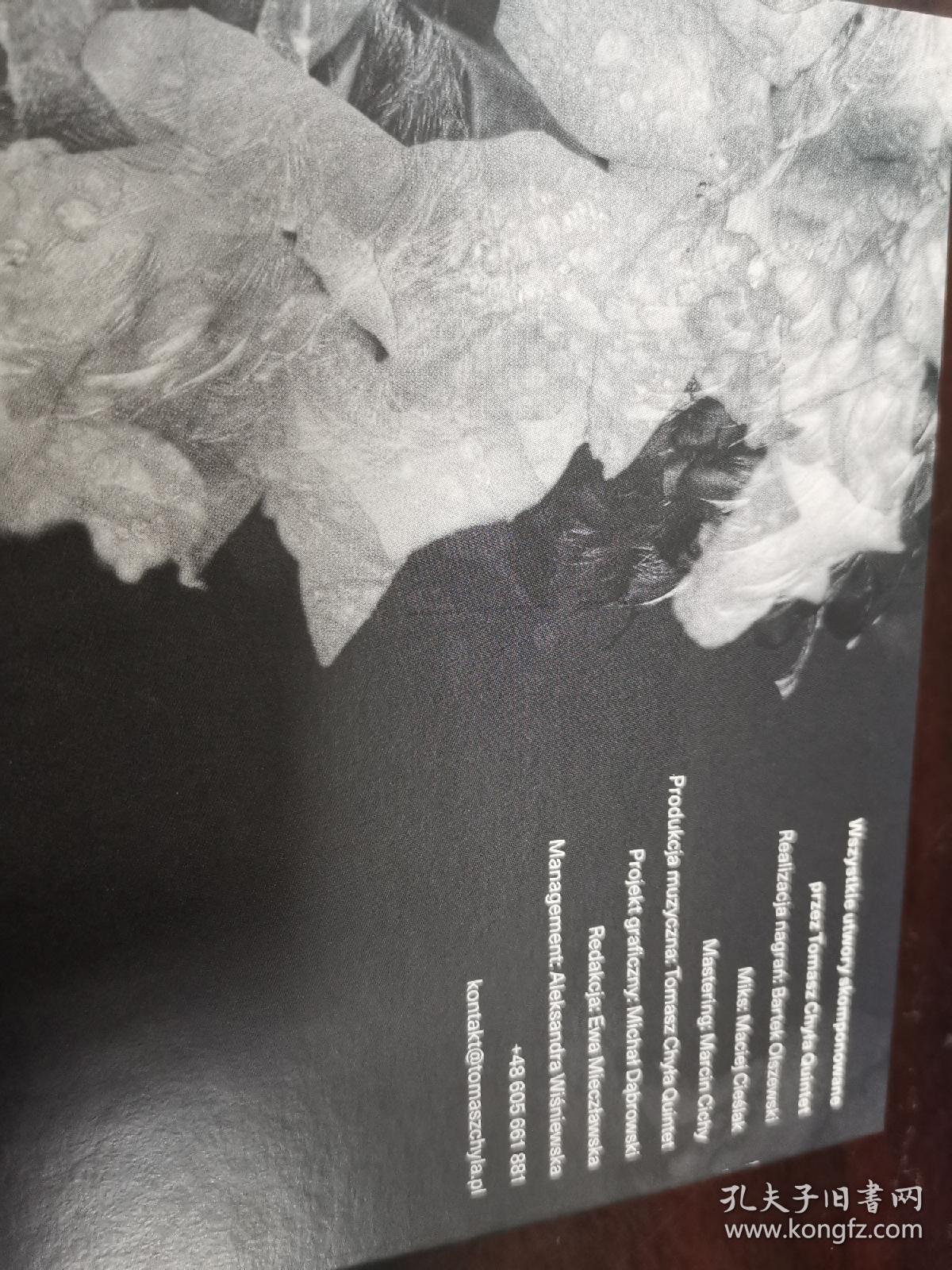 二号箱…波兰原版爵士乐队专辑唱片cd，十分少见。全新仅拆