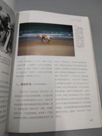 摄影的视觉心理--PERCEPTION&PHOTOGRAPHY