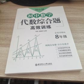 周计划：初中数学代数综合题高效训练（8年级）