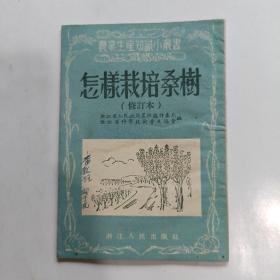 怎样栽培桑树